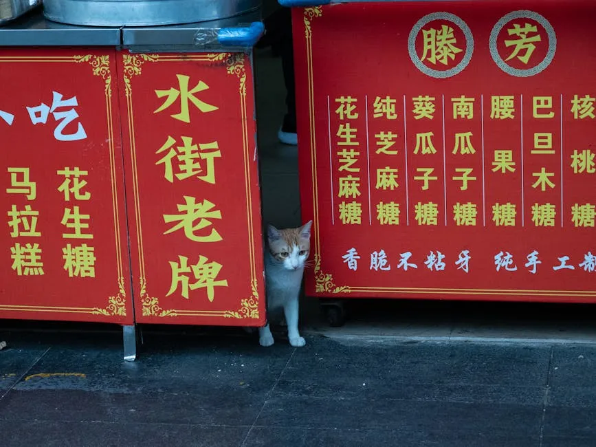Cat between Stalls with Street Food