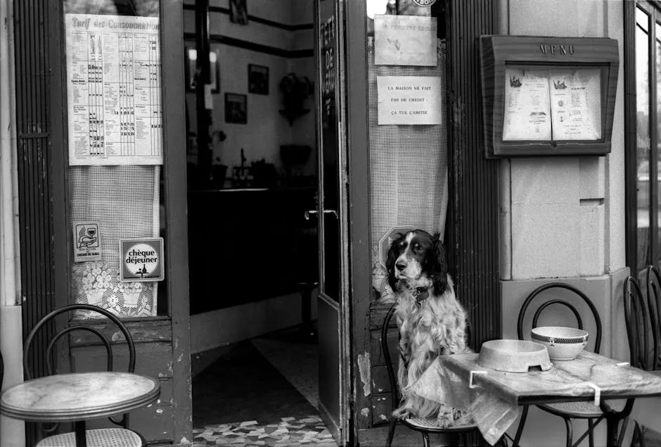 Dog sitting at table in cafe