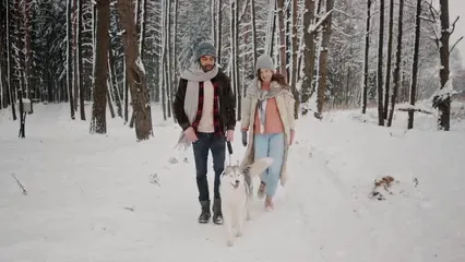 Horizontal video: A couple walking their dog in the snow 6503044. Duration: 12 seconds. Resolution: 1920x1080