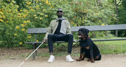 Horizontal video: Man sitting on a bench with his dog 8322934. Duration: 28 seconds. Resolution: 4096x2160