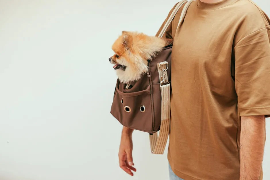 A Pomeranian sitting in a trendy brown pet carrier held by a man wearing a brown shirt.