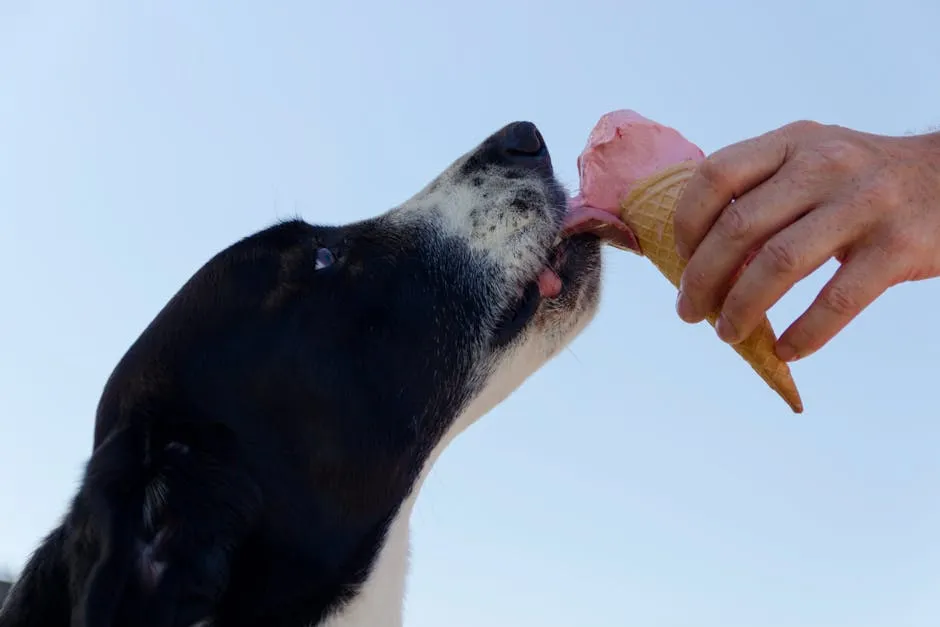 Adorable dog licking an ice cream cone held by a hand outdoors. Perfect summer treat moment.