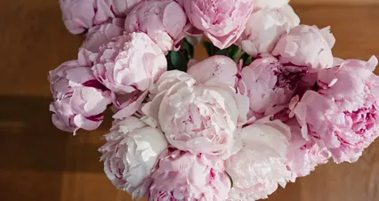 Horizontal video: Putting fresh flowers in a vase 4502467. Duration: 15 seconds. Resolution: 4096x2160