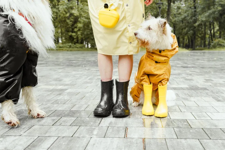 Dogs in Raincoat Standing Close to Owners Legs