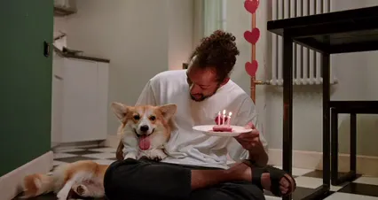 Horizontal video: A man celebrating valentine s day with his corgi pet 9986238. Duration: 17 seconds. Resolution: 4096x2160