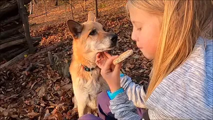 Horizontal video: A girl eating with her dog 5921465. Duration: 15 seconds. Resolution: 2560x1440