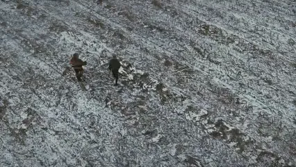 Horizontal video: Men walking while the dog runs around 6200861. Duration: 15 seconds. Resolution: 3840x2160