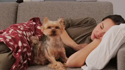 Horizontal video: Woman sleeping in the couch with the pet 6264760. Duration: 13 seconds. Resolution: 3840x2160