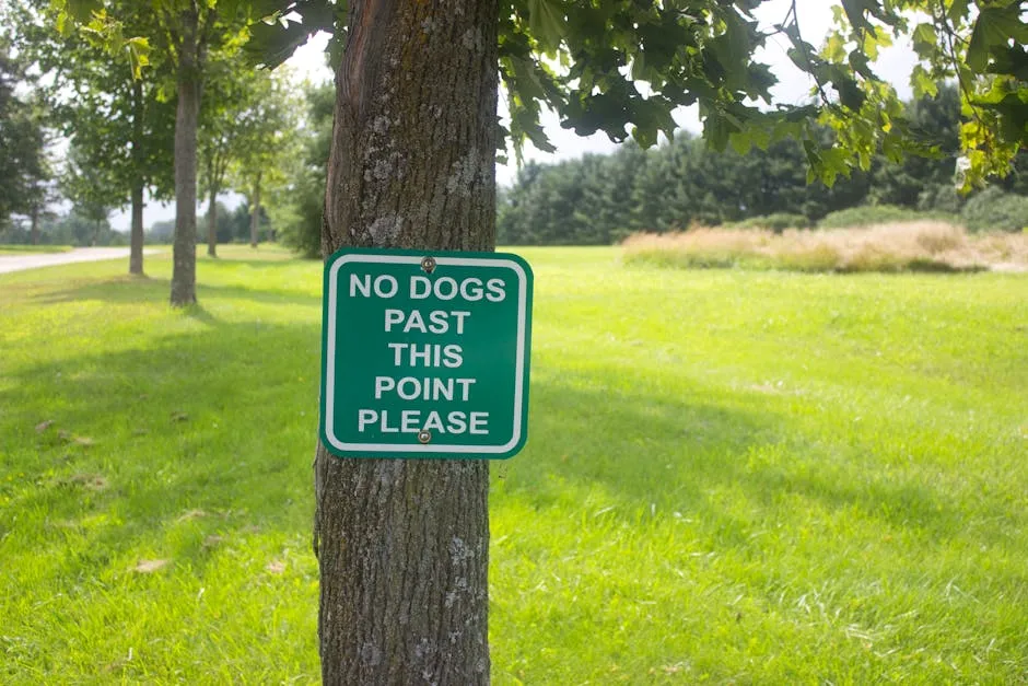 No Dogs Past This Point Sign on Tree Trunk 