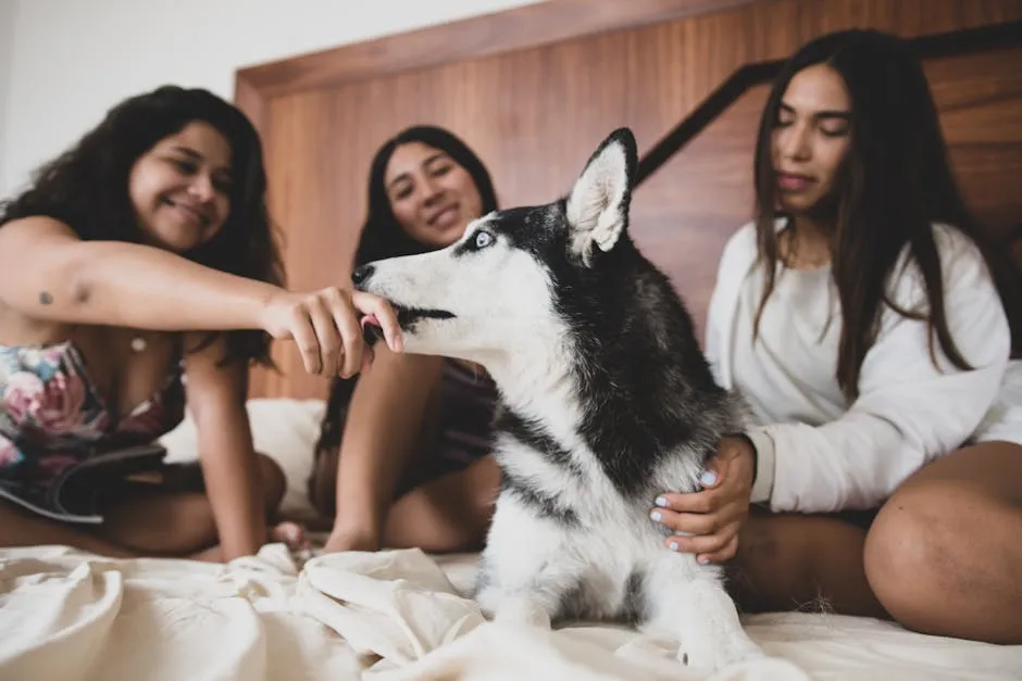 Group of Women Petting a Dog