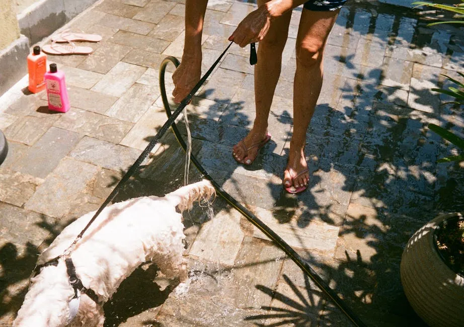 A Person Bathing Her Dog