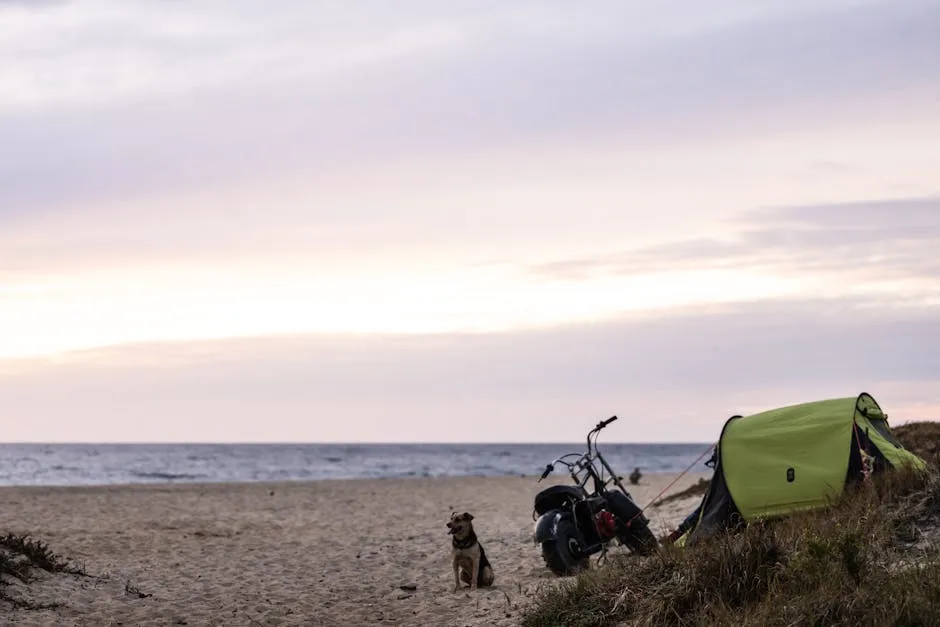 A Dog Sitting on the Beach next to a Motorcycle and a Tent 