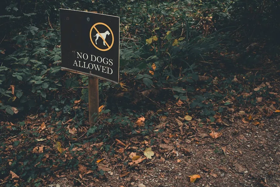 No Dogs Allowed Sign on a Forest Path