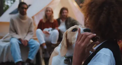 Horizontal video: A group of friends playing with the dog 5365065. Duration: 31 seconds. Resolution: 4096x2160
