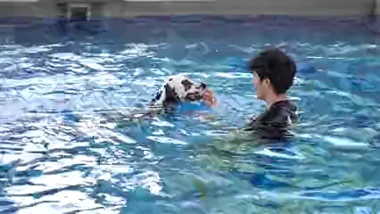 Horizontal video: Young man playing with his dog in the pool 5481775. Duration: 10 seconds. Resolution: 3840x2160