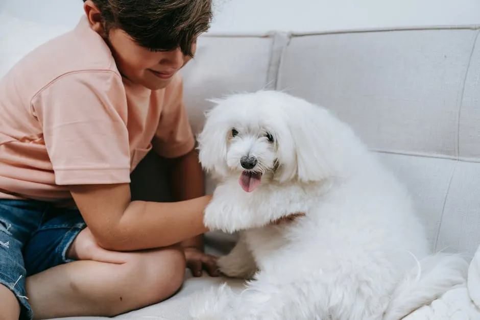 A Boy Playing with His Dog on Sofa