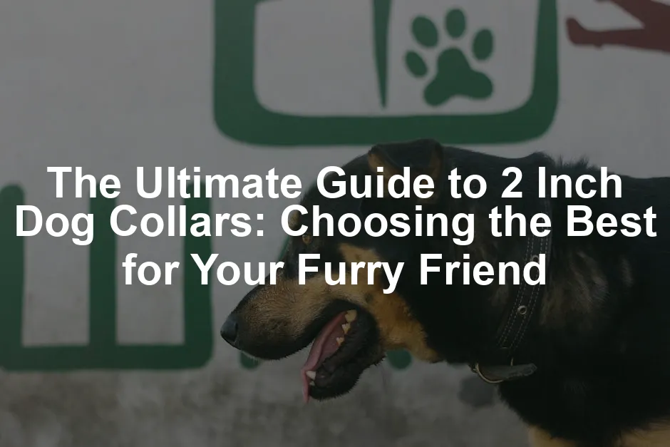 Featured image for The Ultimate Guide to 2 Inch Dog Collars: Choosing the Best for Your Furry Friend