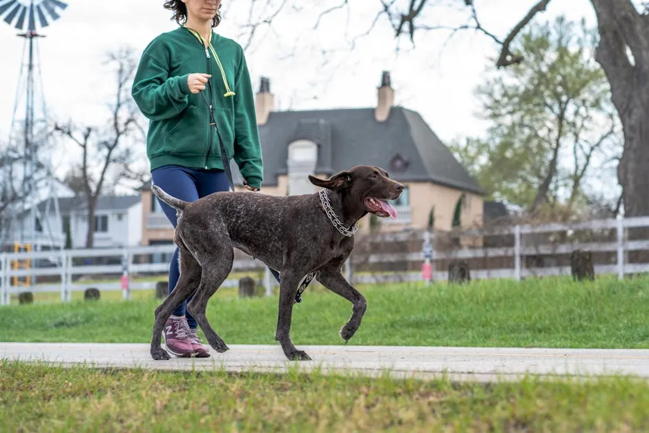 A Woman Walking her Dog