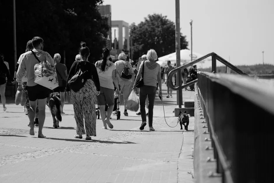 People Walking Dogs on Sunny Urban Pathway