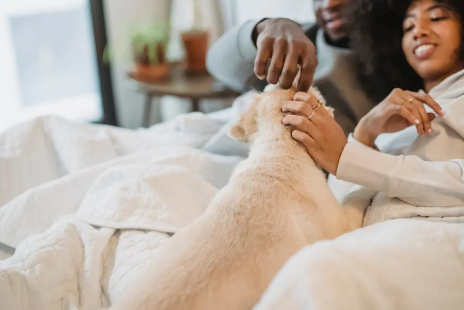 Loving ethnic couple caressing dog on bed