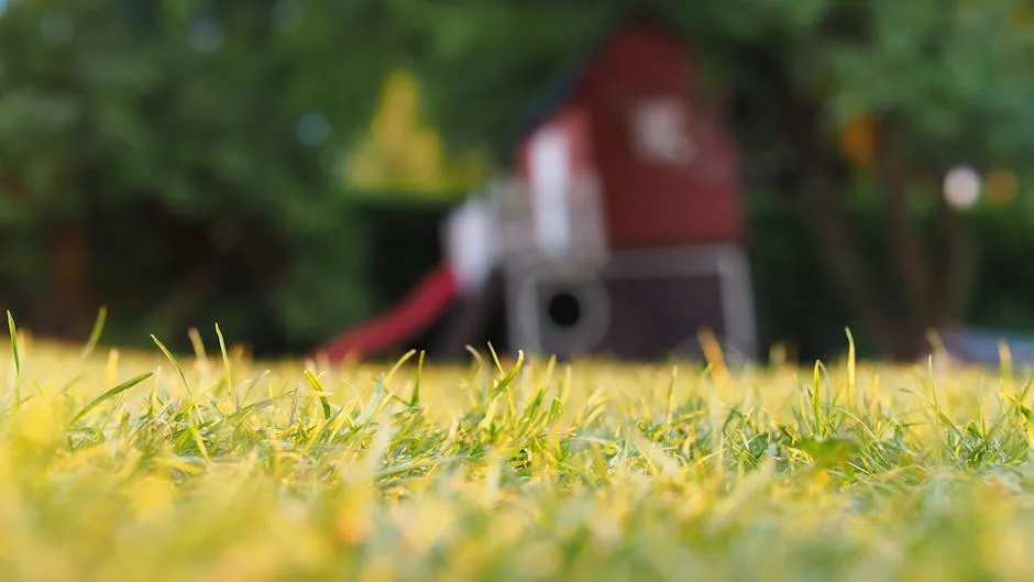 Selective Focus Photography of Grass