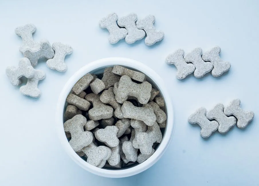 Dog Treat in the Shape of Bones