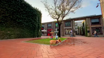 Horizontal video: A corgi walking in a commercial area 5168243. Duration: 9 seconds. Resolution: 1920x1080