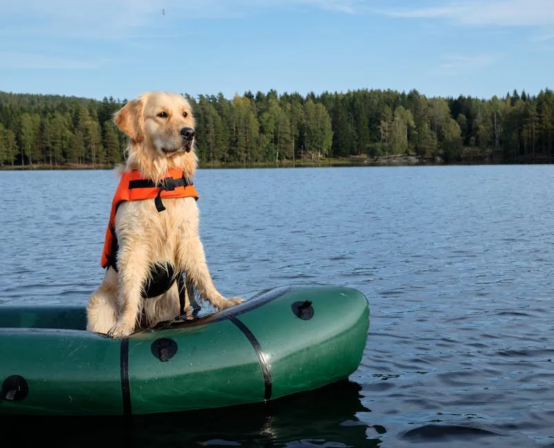 Golden Retriever with life vest on inflatable boat in serene Norwegian lake setting.