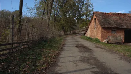 Horizontal video: The dog runs to meet me on the country road 19121841. Duration: 16 seconds. Resolution: 3840x2160