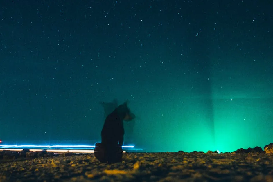 Dog Sitting on Ground Under Blue Starry Sky 