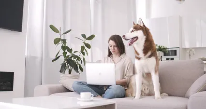 Horizontal video: Woman hanging out with dog while using laptop 4685836. Duration: 10 seconds. Resolution: 4096x2160