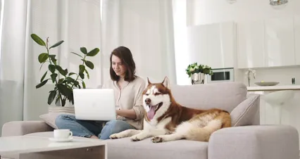 Horizontal video: Woman and dog on a couch 4686806. Duration: 6 seconds. Resolution: 4096x2160