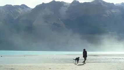 Horizontal video: Woman with dog on the beach 5092910. Duration: 13 seconds. Resolution: 1920x1080