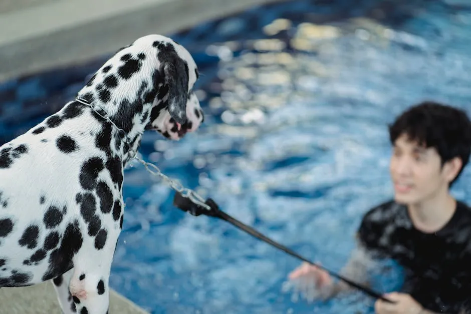 Man Holding Dog on Leash near Swimming Pool