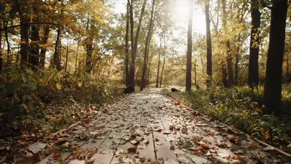 Horizontal video: A man and a white dog walking in a paved pathway 5597113. Duration: 34 seconds. Resolution: 3840x2160