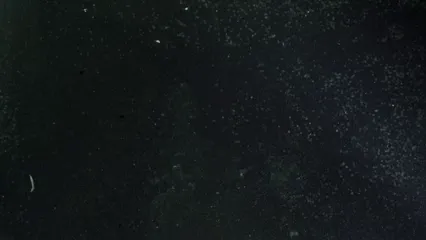 Horizontal video: Video of a lemon underwater 7677910. Duration: 15 seconds. Resolution: 1920x1080
