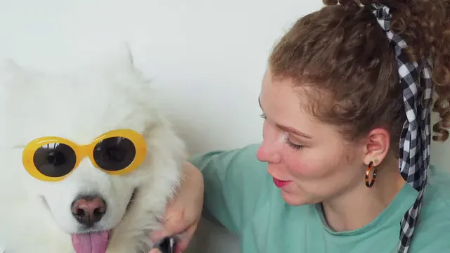 Horizontal video: A woman dressing up a dog 7294996. Duration: 6 seconds. Resolution: 3840x2160