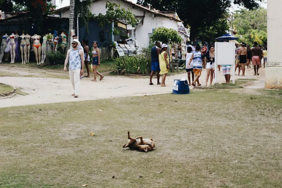 People Walking on the Footpath in the Park Near the Green Grass with a Dog