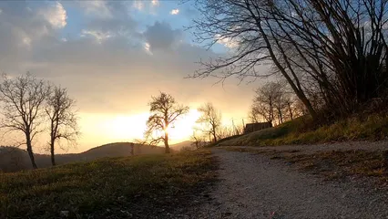 Horizontal video: A woman walking her dog at sunset 4071145. Duration: 22 seconds. Resolution: 1920x1080