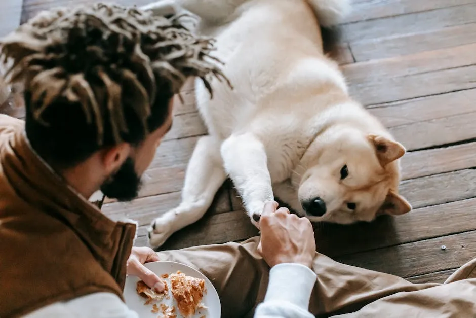 Anonymous black man and purebred dog playing together and eating croissant