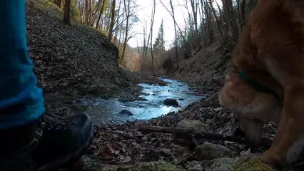 Horizontal video: Woman hiking outdoors with pet dog 6860509. Duration: 22 seconds. Resolution: 2560x1440