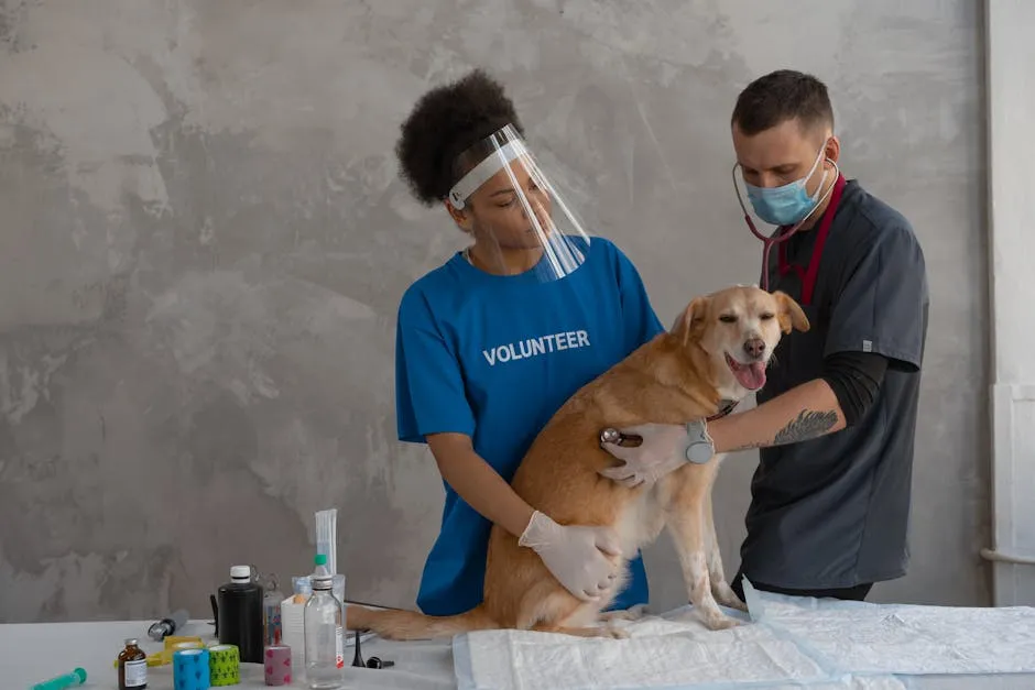 A Man Doing an Examination on a Dog