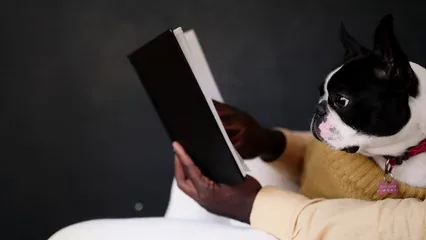 Horizontal video: A person reading a book while the dog is nearby 7561768. Duration: 10 seconds. Resolution: 1920x1080