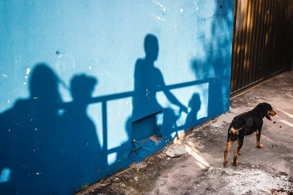 Curious dog standing near shabby blue wall with shadows of group of people on street in city in bright daylight