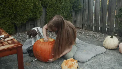 Horizontal video: A woman carving out the inside of a pumpkin in the garden beside her dog 6068811. Duration: 22 seconds. Resolution: 3840x2160