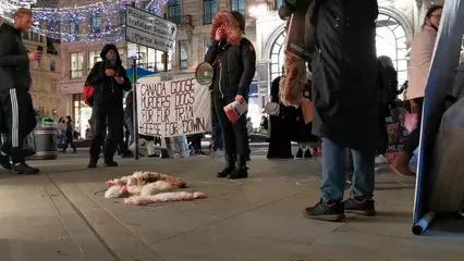 Horizontal video: Protesters with banners against animal cruelty 6092738. Duration: 28 seconds. Resolution: 1920x1080