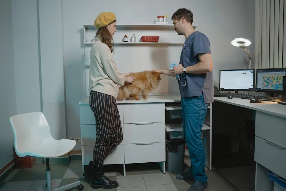 Woman and veterinarian discussing care for a Pomeranian dog in a modern clinic.