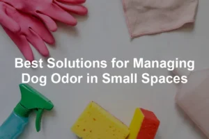 Featured image for Best Solutions for Managing Dog Odor in Small Spaces