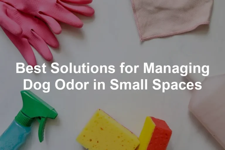 Featured image for Best Solutions for Managing Dog Odor in Small Spaces