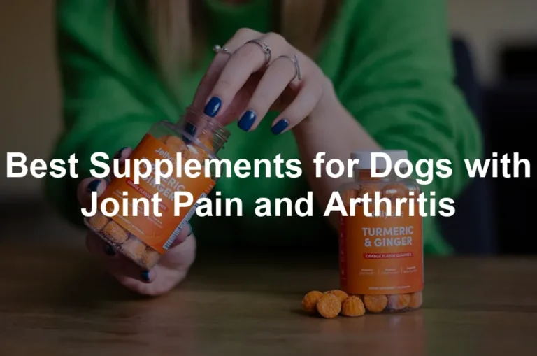 Featured image for Best Supplements for Dogs with Joint Pain and Arthritis